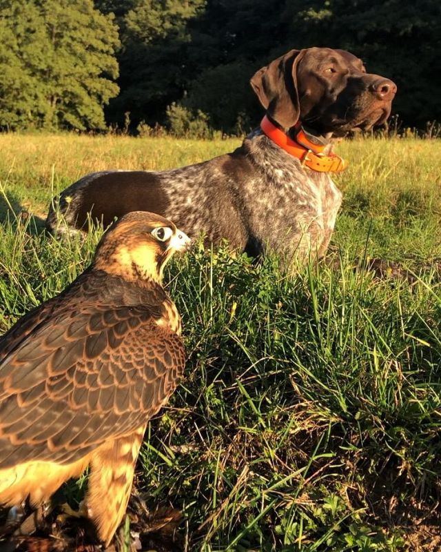 Erfolgreiche Jagdsaison 2021